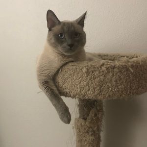 Meet your Posher, Mia-dior